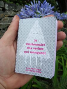 Dictionnaire-des-verbes-qui-manquent-tome-1-01