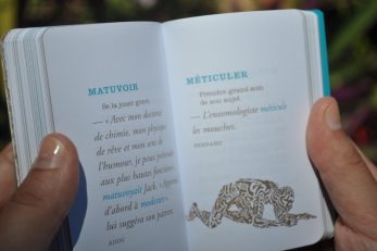 Dictionnaire des verbes qui manquent, tome II