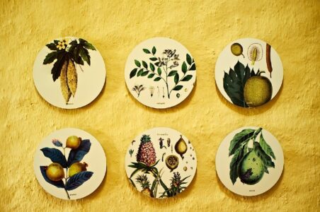 Exposition "Métissage végétal, plantes et usages au temps de l'engagisme" Salle II