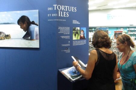 Kelonia - Des Tortues et des iles 07
