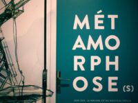 Exposition « Métamorphose(s) »