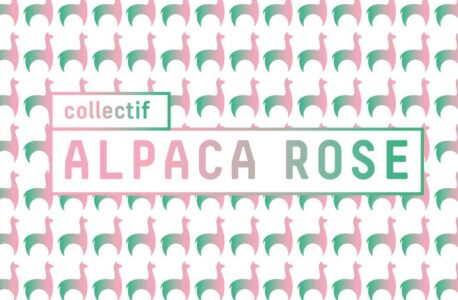 Alpaca-Rose-2017