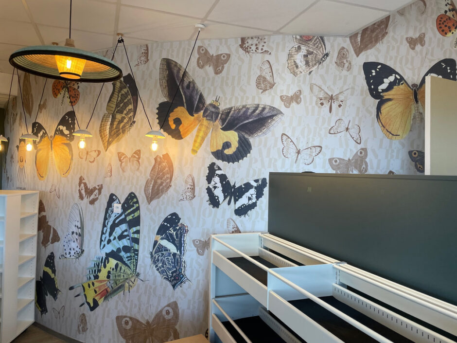 Design graphique du mur de la salle de conte